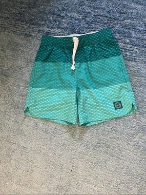 NWT Abercrombie and Fitch Kids Boys 11-12 Green Swim Trunks
